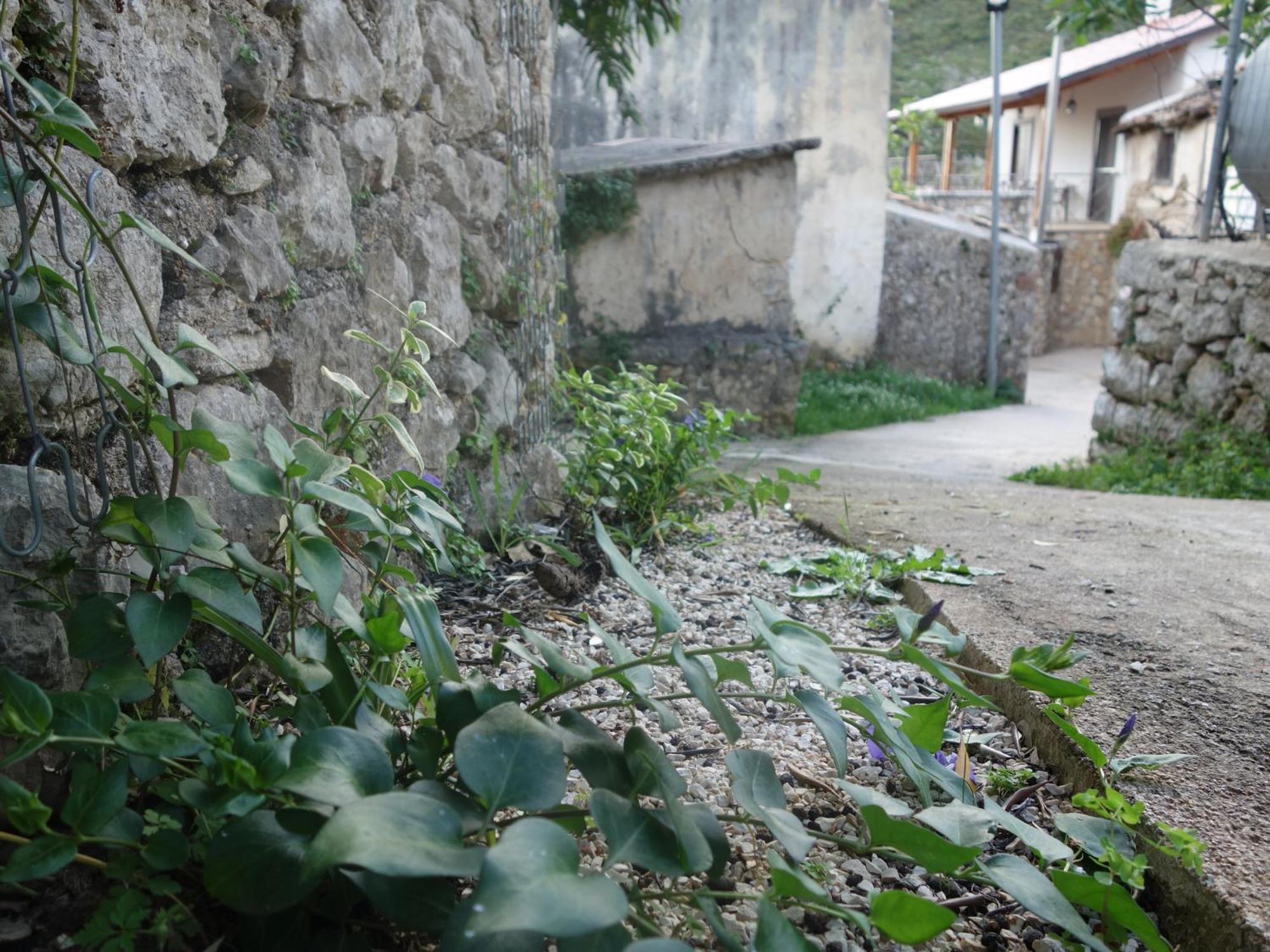 Guesthouse Near The Castle Of Himarë Dış mekan fotoğraf